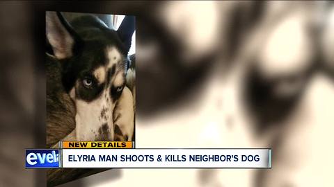 Elyria man charged with animal cruelty after allegedly shooting dog that attacked his puppy