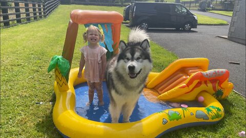 0:02 / 4:49 Adorable Baby Girl And Her Wolves Play In The Pool! (Cutest Ever!!)