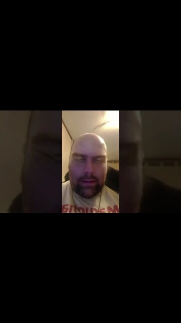 Yes nap kitten nap #shortsvideo #shorts #shortsfeed