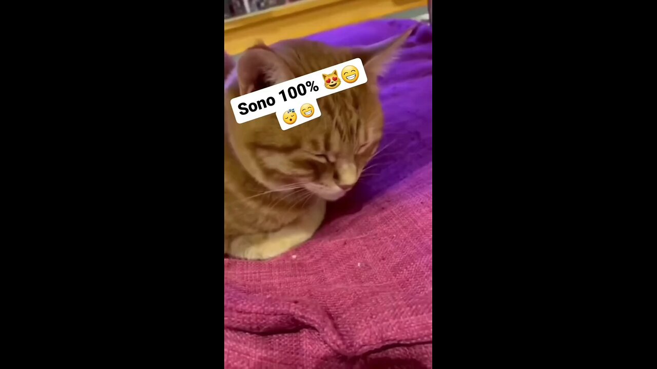 my mood this days