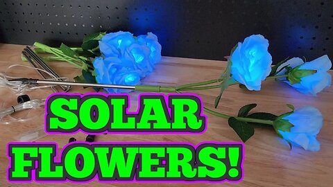 Check Out These Solar Powered Flowers!