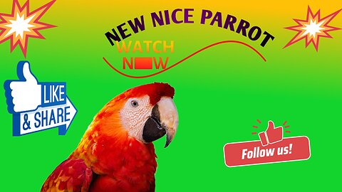 Nice parrot