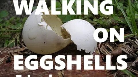 Walking On Eggshell Friends, Are Not Friends