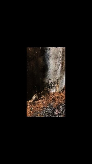 Buxton - #leakingtank #leakingconcretetank #concretetankrepair #concretecrackinjection