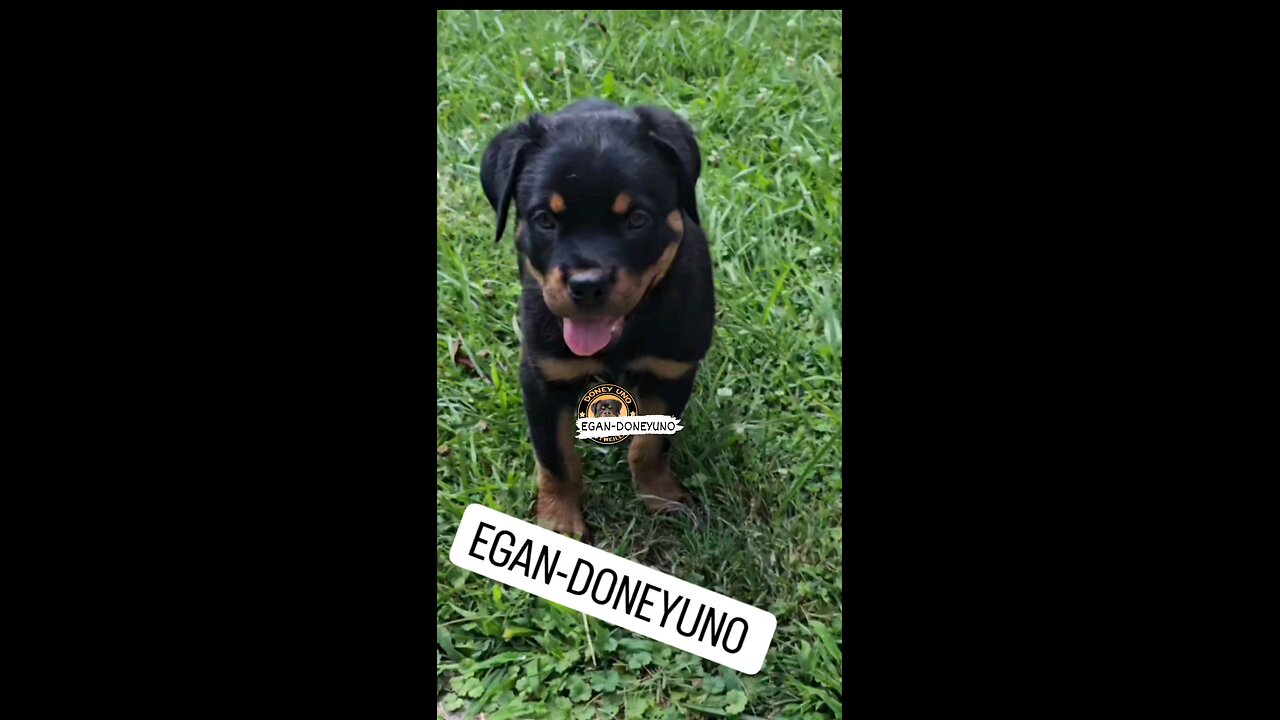 EGAN-DONEYUNO