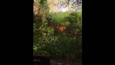 Mother nature is so comforting