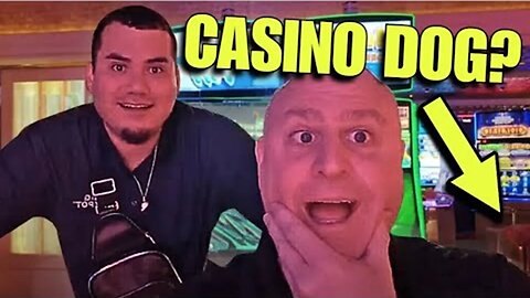 The Largest Bets In History! 🪙 Brand New Buffalo Gold Wheel of Rewards!