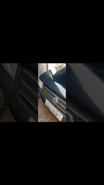 #dogshow , #amimals , #dogs , #shorts