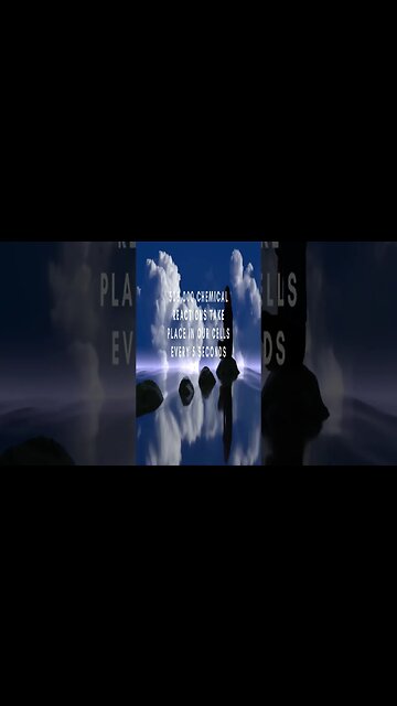 Incredible Random Facts That Will Expand Your Mind! [2023] #shorts #facts #viralshorts #fyp #life