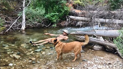 Off Grid Living: Cold Plunge Errrrrrrryday! (incredible health benefits)