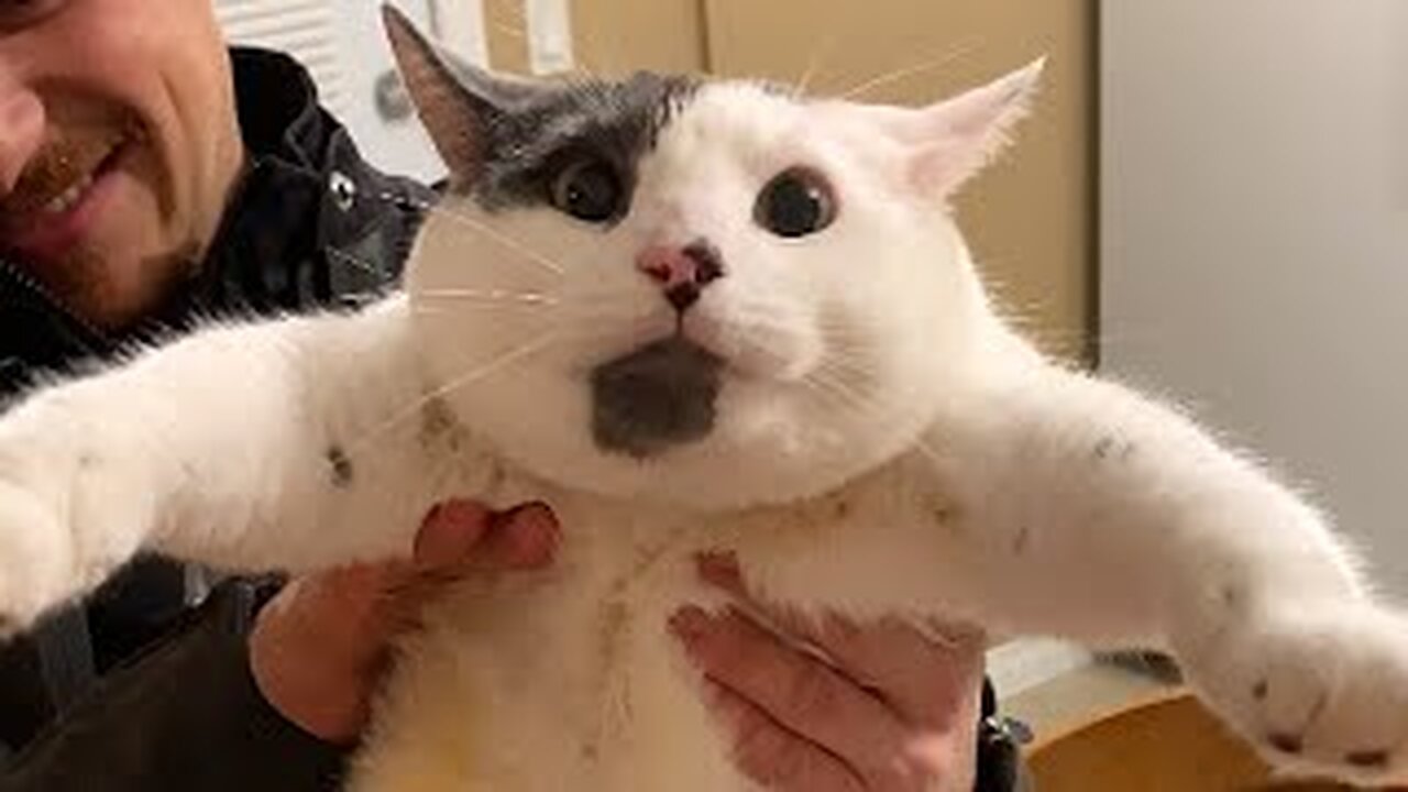 The Ultimate Goobers | 60 Minute FUNNIEST Pets Compilation