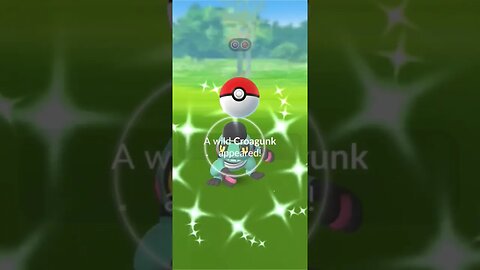 Shiny Compilation
