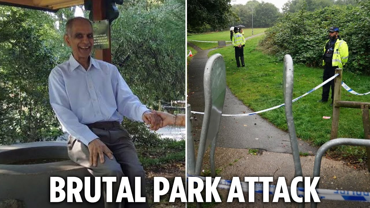 Dog walker, 80, ‘was 30 seconds from home when gang of youths kicked him to death in park’