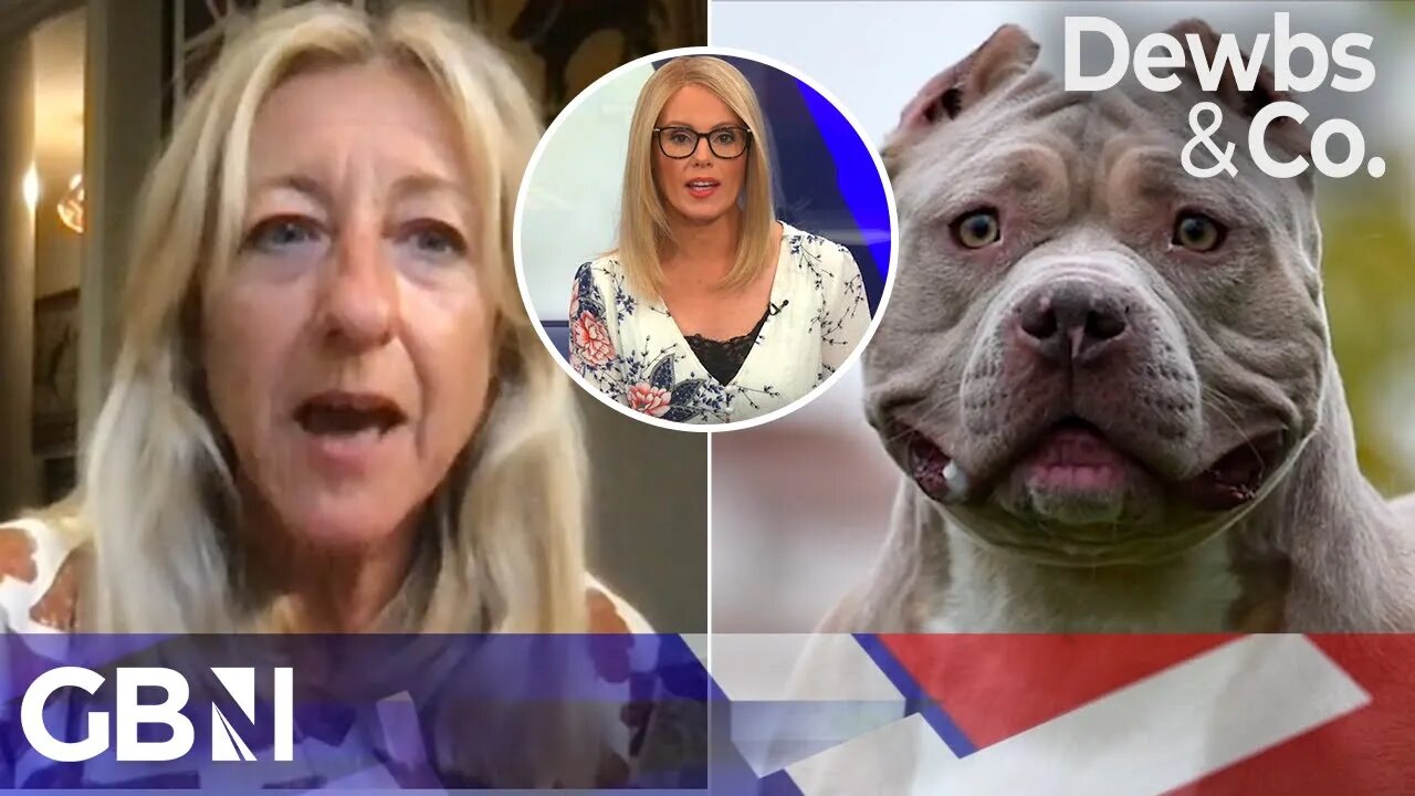 Dangerous Dogs | Should the XL Bully be banned in the UK?