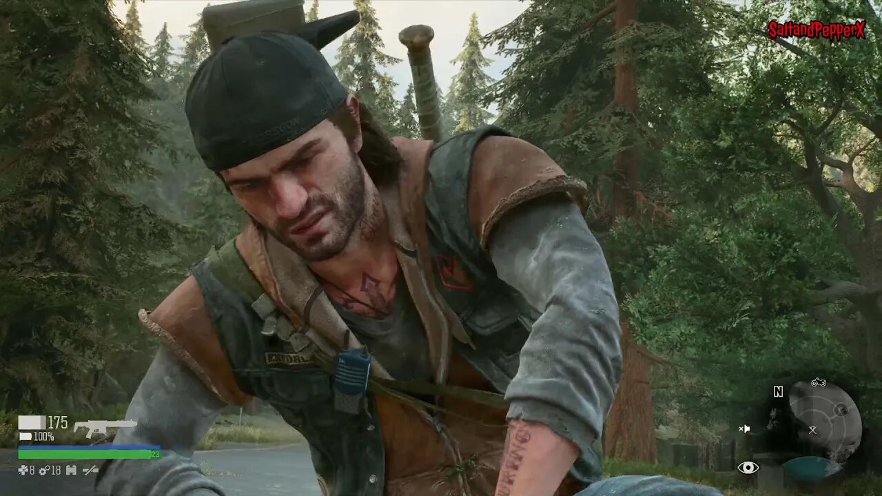 Days Gone - Nero Intel and Collectables pt2