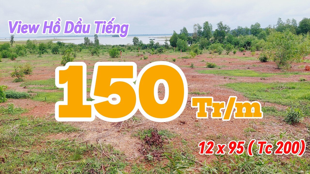 Đất Dầu Tiếng | bán gấp view Hồ Dầu tiếng 12 x 95 (tc 200) giá rẽ#571