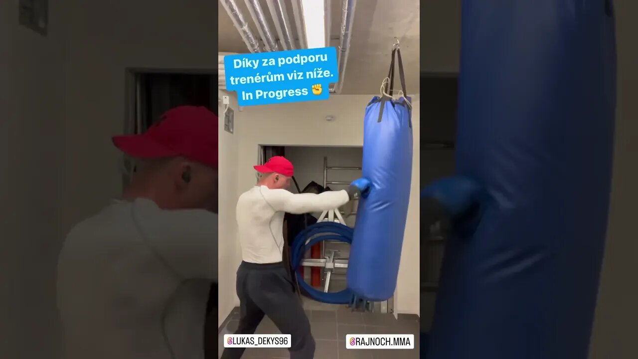 MMA/Box Workout Progress So Far