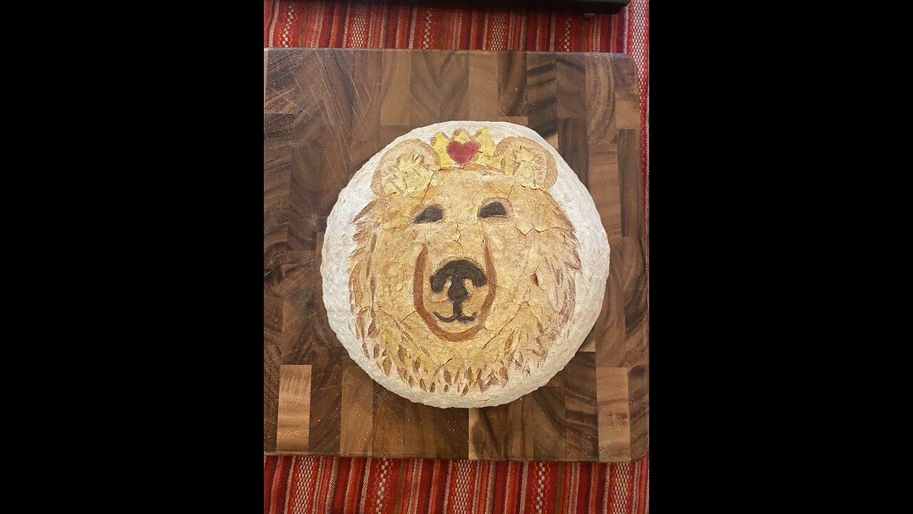 Sourdough Showdown: Vote Queen Grazer for Fattest Bear!