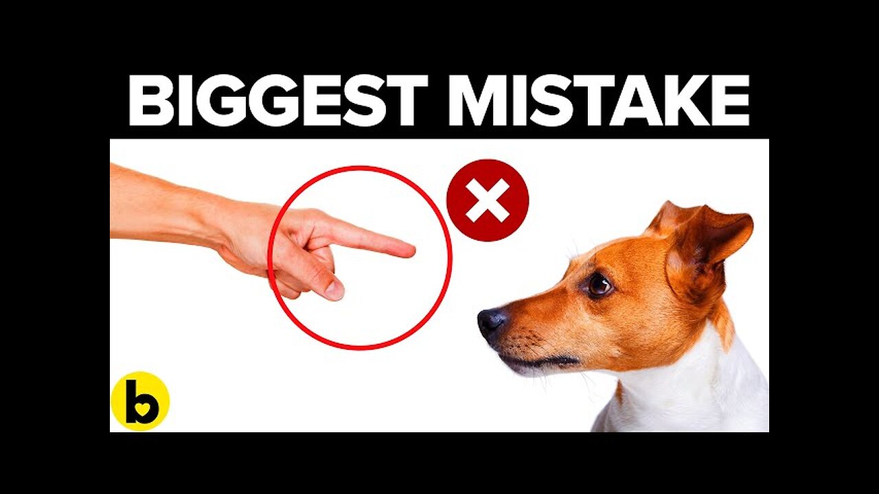 "Avoid These 6 Common Mistakes NEW Dog Owners Make for a Happy Pup"