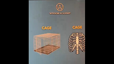 You are stuck within a cage: the matrix of physical matter prison