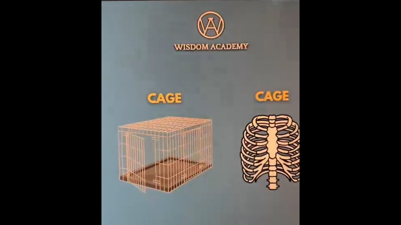 You are stuck within a cage: the matrix of physical matter prison