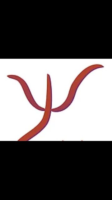 PSY ou qu’est-ce que la Femme ?