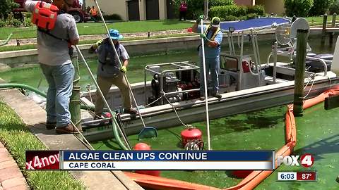Algae cleanup: How long will it take?