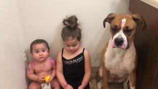 Menina pinta o irmão e a cadela com batom