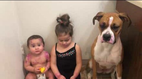Menina pinta o irmão e a cadela com batom