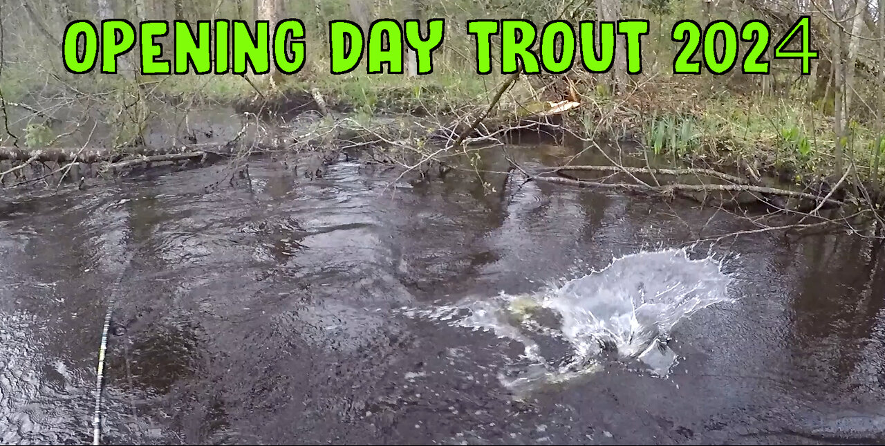 Opening Day Trout 2024