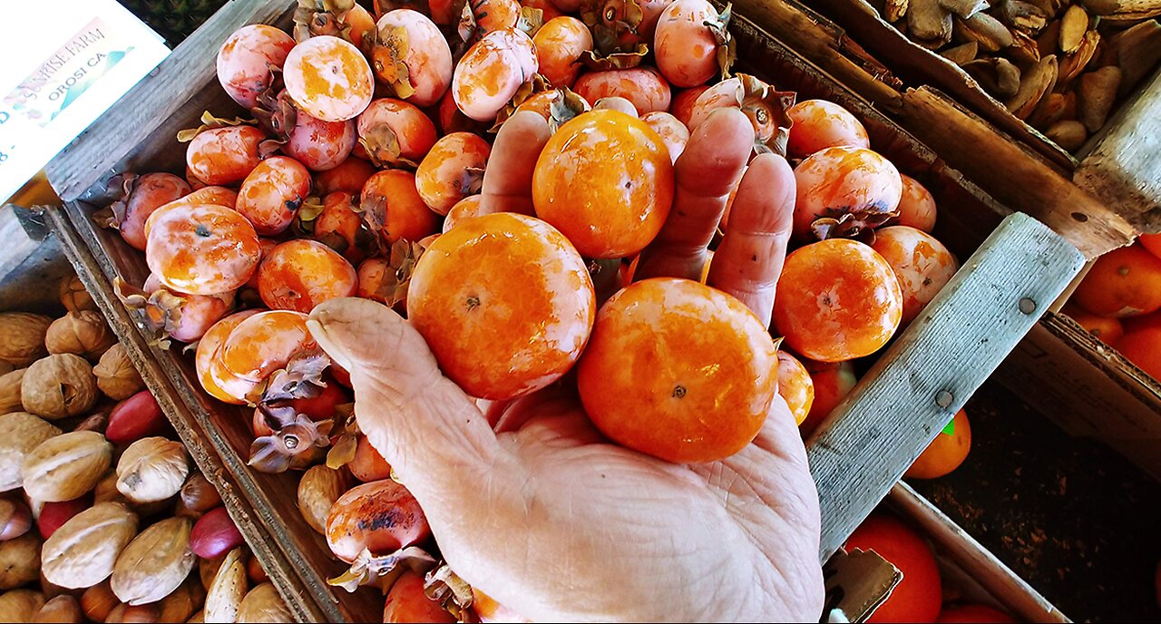 Brandt Farms - The Power of Persimmons!