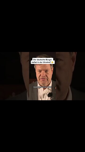 Garantien des Steuerzahlers