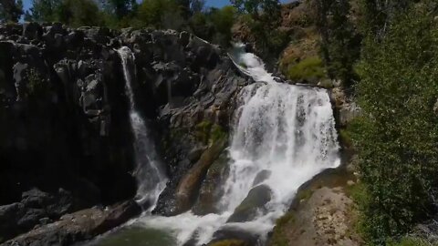 Oregon beautiful scenery city trees and flowers 4