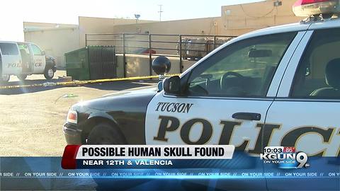 Item that looks like human skull found in dumpster