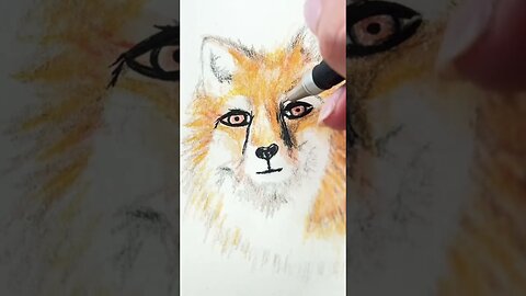 #Drawing a #Fox, #stunning #Dibujando un #precioso #Zorro #illustration #ilustrationanimals #dibujar