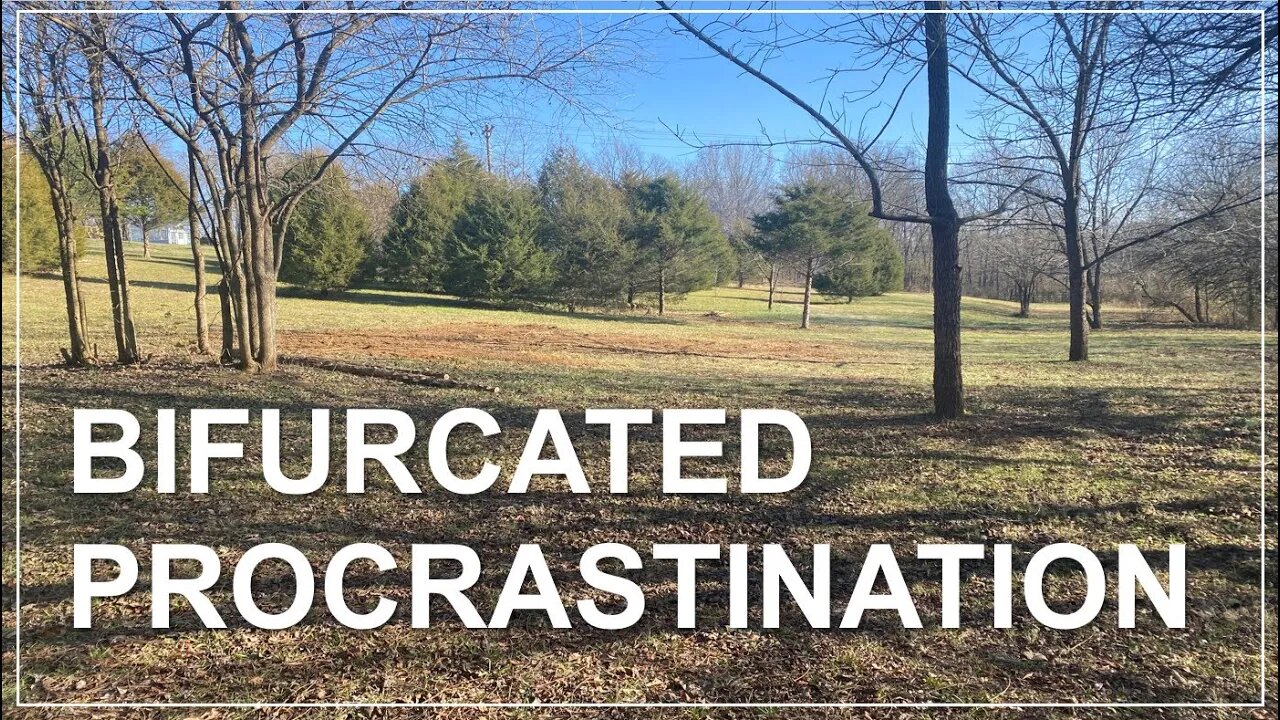 TNT #155: Bifurcated Procrastination