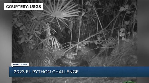 2023 Python Challenge