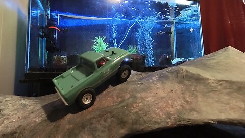 Axial SCX24 having some fun in front of my Fish Tank