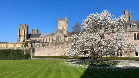 Wells Market and the Bishops Palace Chapel