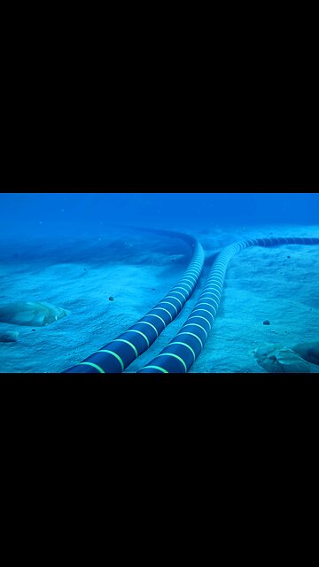 The truth cables Die Wahrheit Tiefseekabel