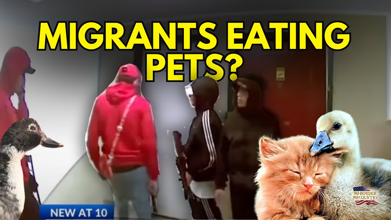 Are Migrants Really Eating Pets in Ohio? Venezuelan Gangs Terrorize Aurora and El Paso