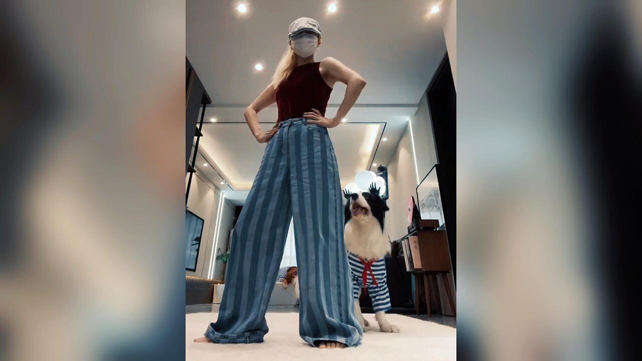 Dancing With My Puppy《Just One Last Dance》