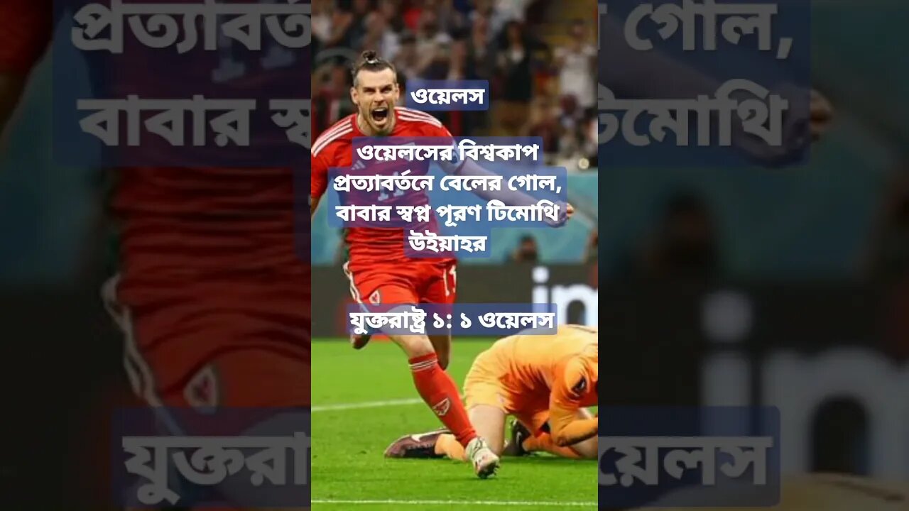 গ্যারেথ বেলের গোল ১ পয়েন্ট এনে দিয়েছে ওয়েলসকে