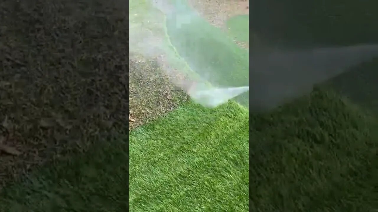 Rate the satisfaction