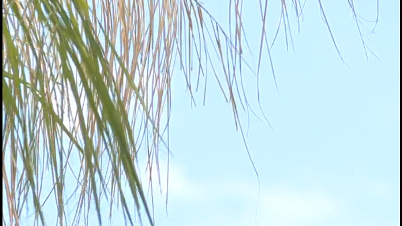 Cooler weather helping, hindering local businesses