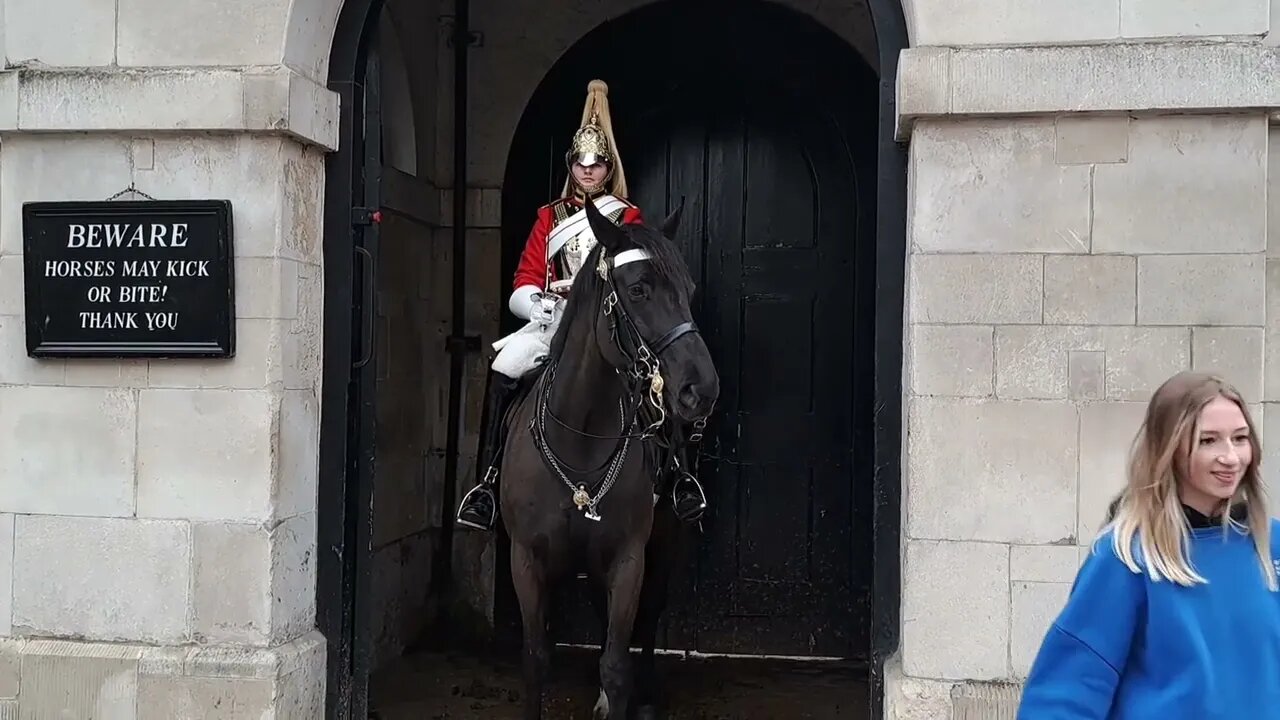 Can I stroke your horse. no