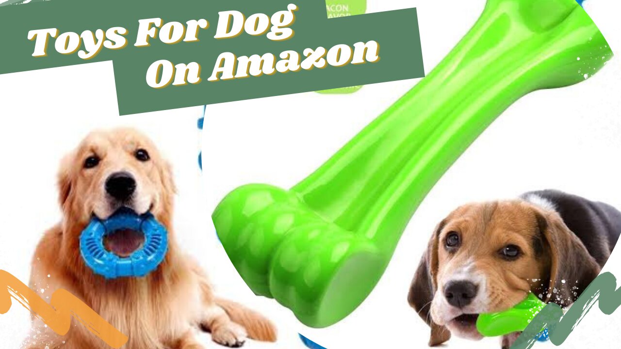 Toys For Dog That Must You Buy For Your Beloved