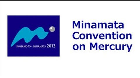 Anita Tibau IAOMT speech to the Minamata Convention on Mercury