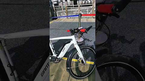 Giant Quick-E Ebike long term review. #Ebike