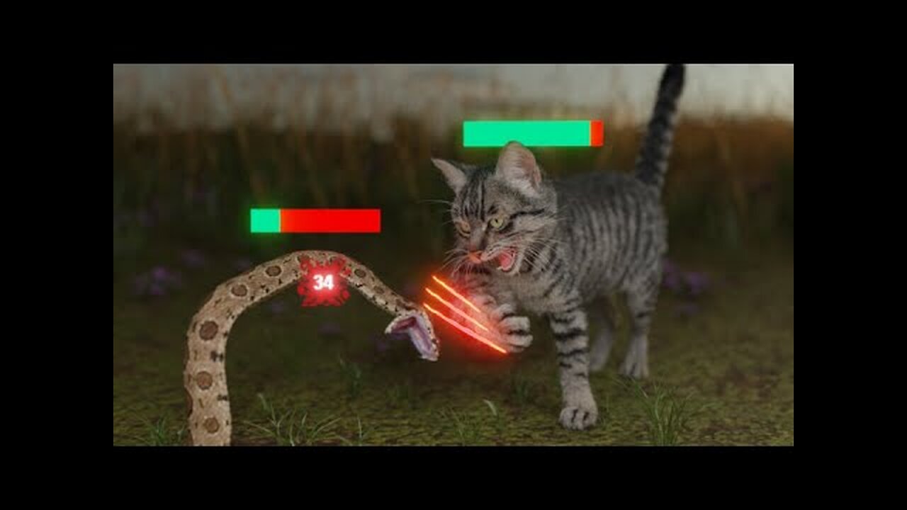 How Cats Broke The Game